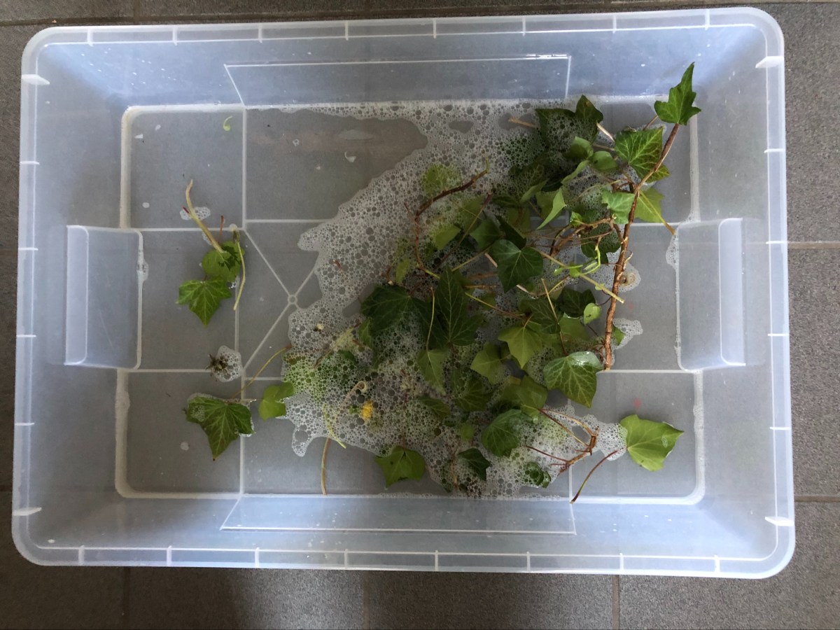 Sonntag , 26. April 2020 – Putz- und&nbsp;Familientag